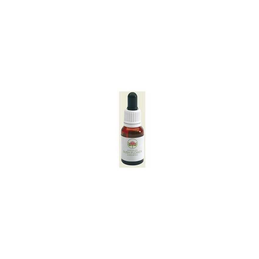  Christhmas Bell Gtt 15ml