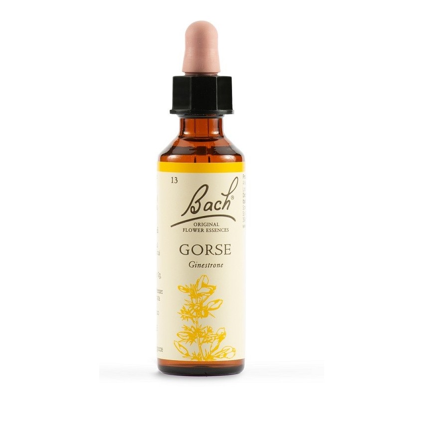  Gorse Bach Orig 20ml