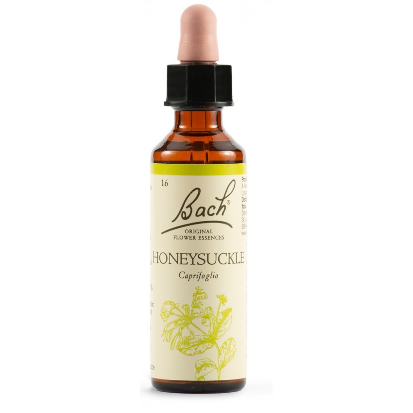  Honeysuckle Bach Orig 20ml