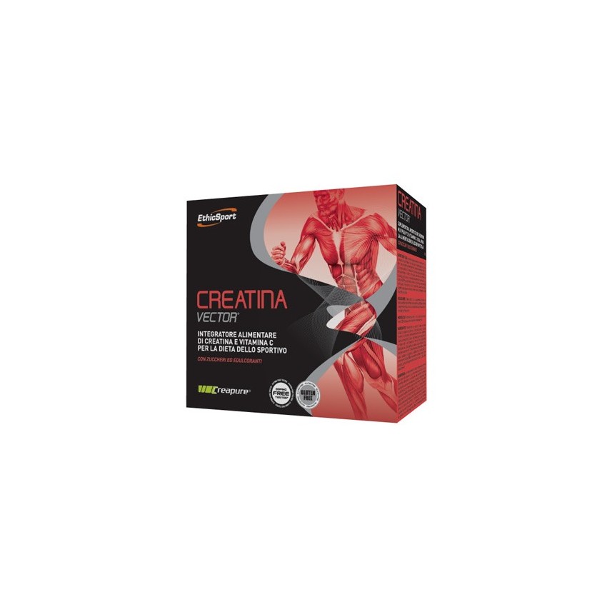  Creatina Vect20bust Etichsport