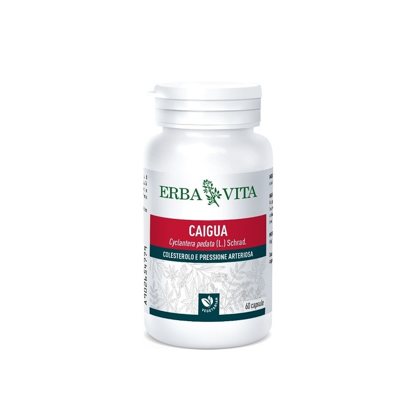 Erba Vita Caigua 60cps 400mg