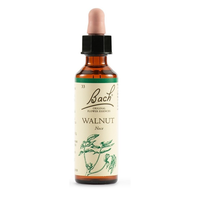  Walnut Bach Orig 20ml