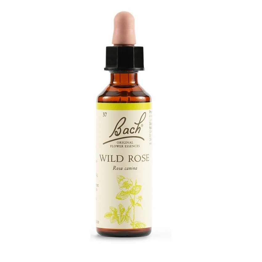  Wild Rose Bach Orig 20ml