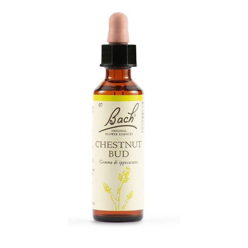  Chestnut Bud Bach Orig 20ml