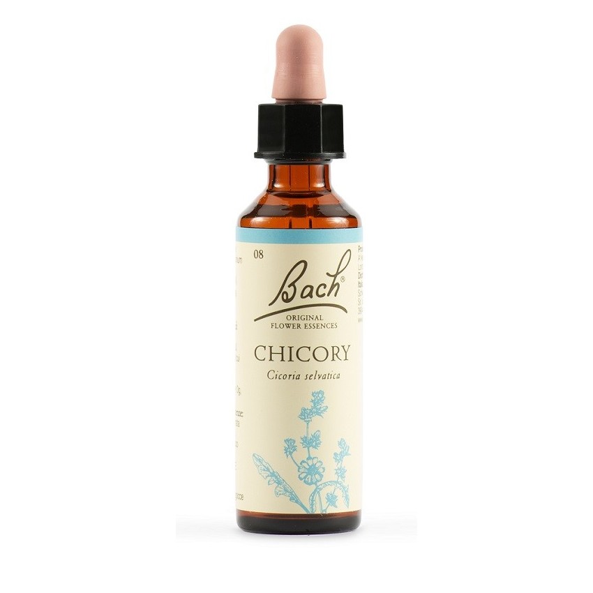  Chicory Bach Orig 20ml