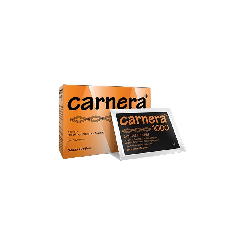 Carnera Carnera 1000 18bust