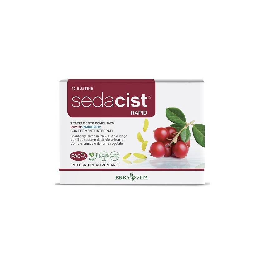  Sedacist Rapid 6+6bust