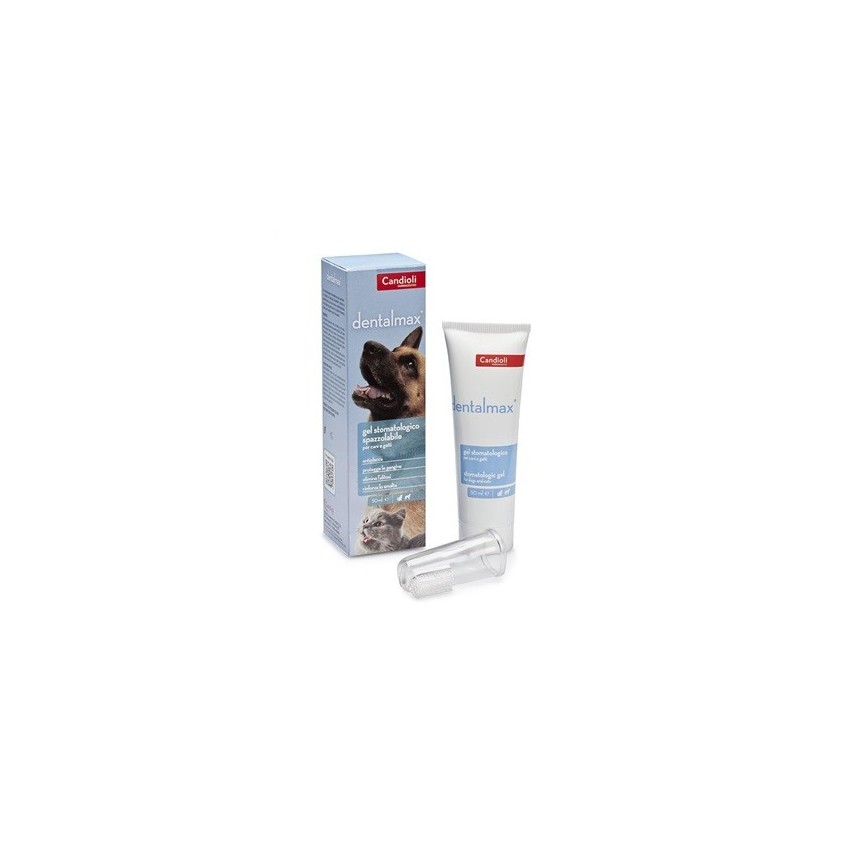  Dentalmax Gel Stomatologico 50