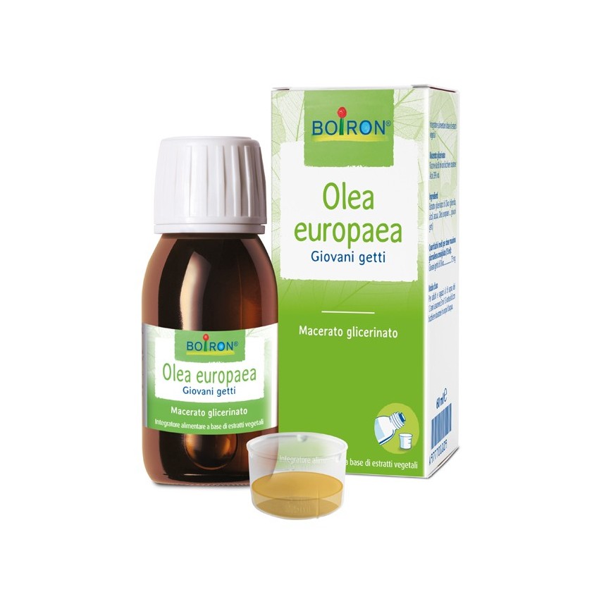 Boiron Olea Europaea Boi Mg 60ml Int