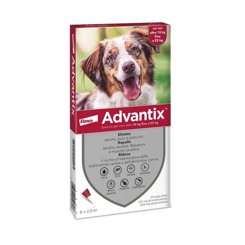 ELANCO ITALIA SpA ADVANTIX SPOT ON Per Cani da 10 a 25 Kg Soluzione 6 Pipette da 2,5ml