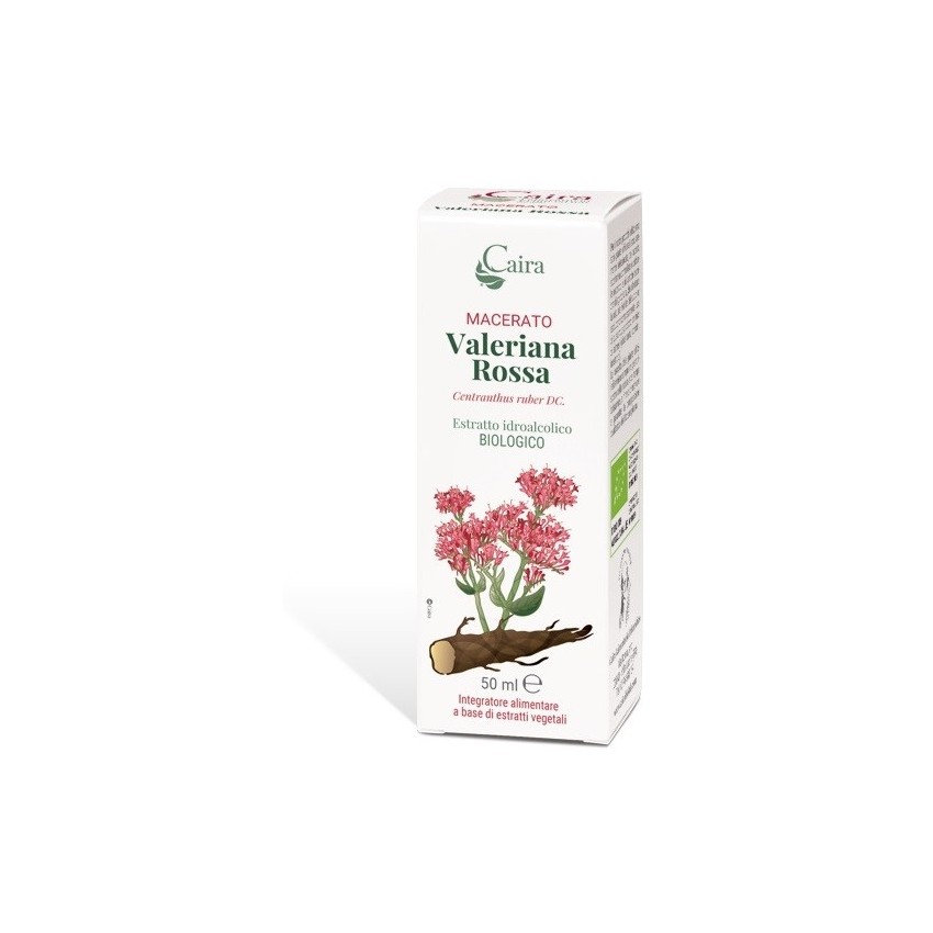  Valeriana Rossa Macerato Caira