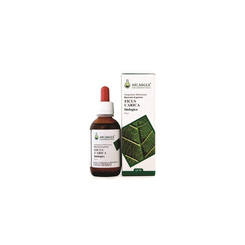 Arcangea Ficus Carica Gd 50ml Bio