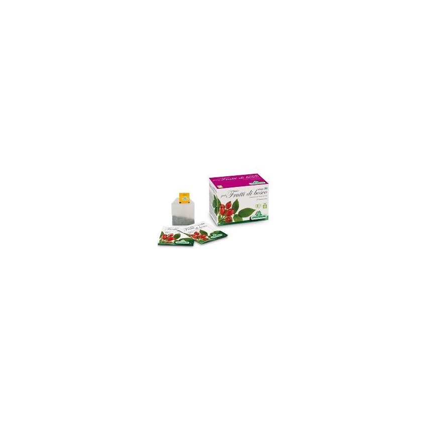 Specchiasol Infuso Bio Frutta Bosco 20filt